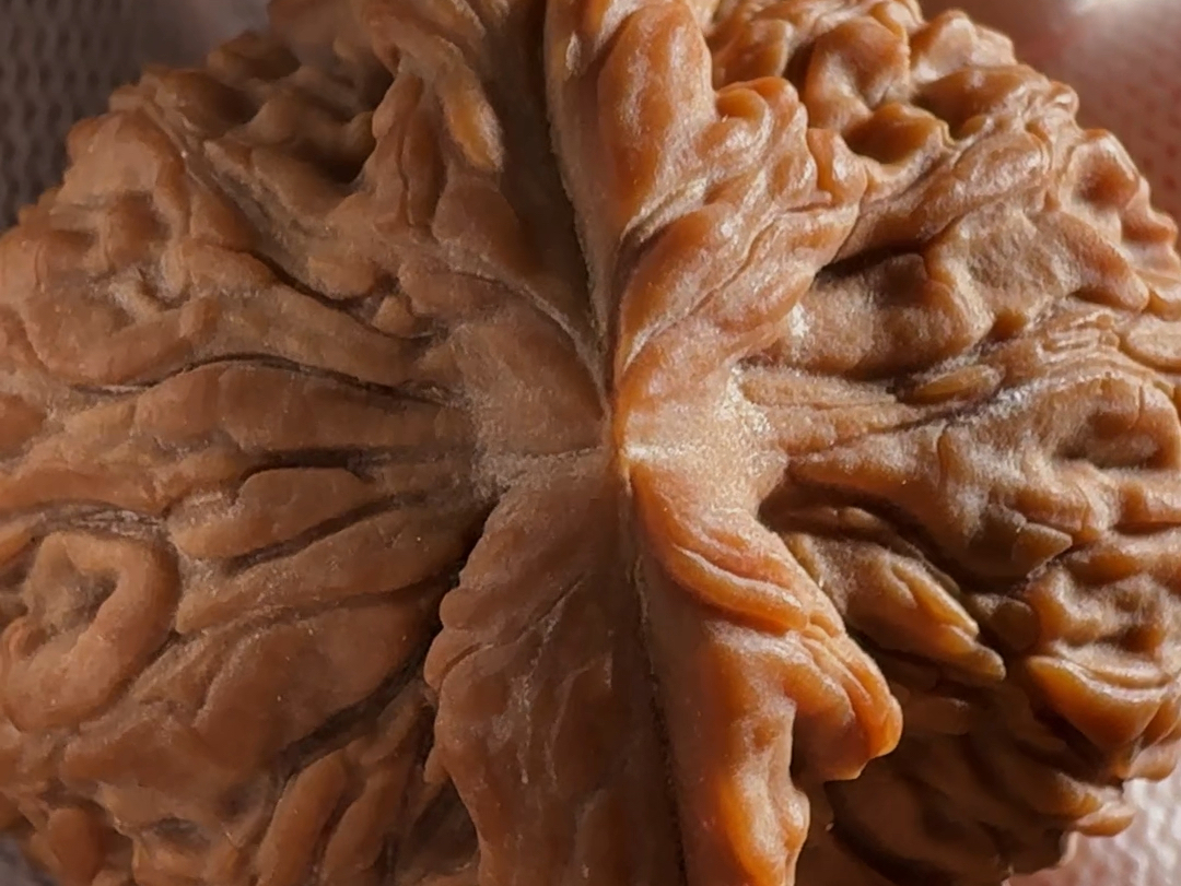 赵喜满南疆石,尺寸44,42,40.全品无修!配对超精!重51克.最大亮点:粗.