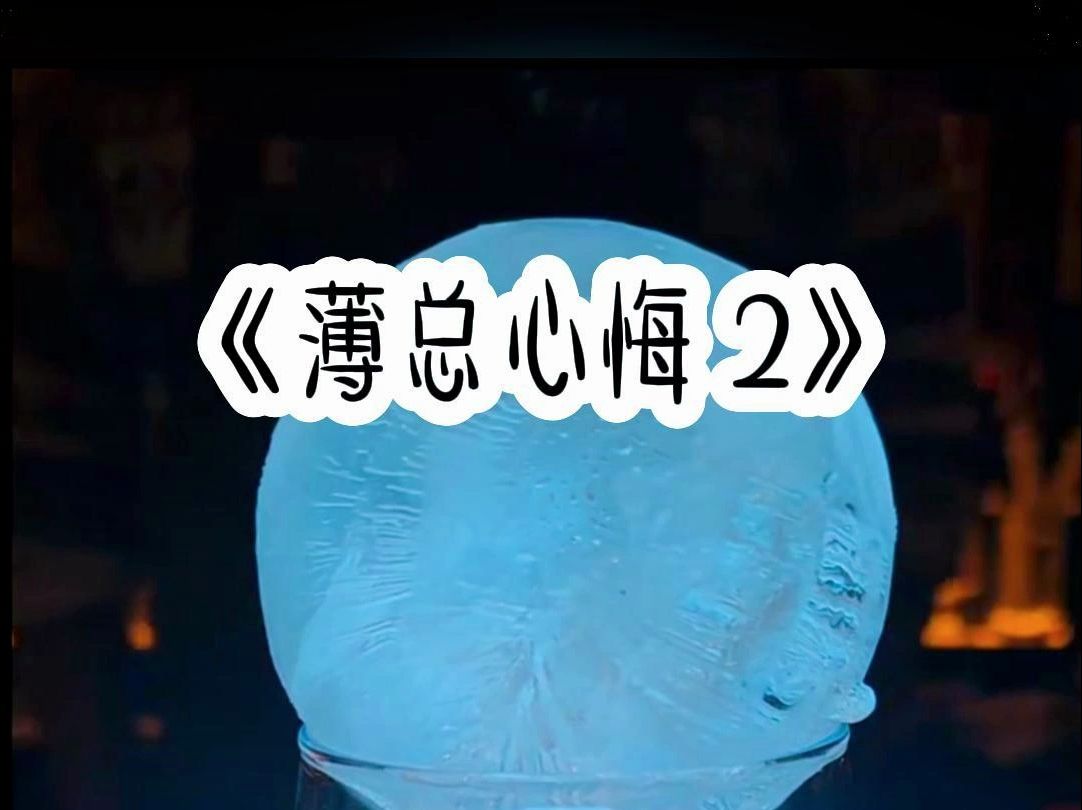 薄总心悔 2哔哩哔哩bilibili