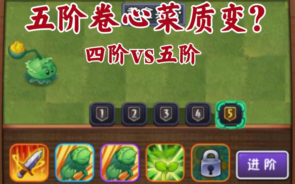 活动作品卷心菜投手五阶质变四阶vs五阶对比