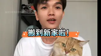 Download Video: 大古和他的猫｜搬到新家啦，看看乔乔和熹熹什么反应？