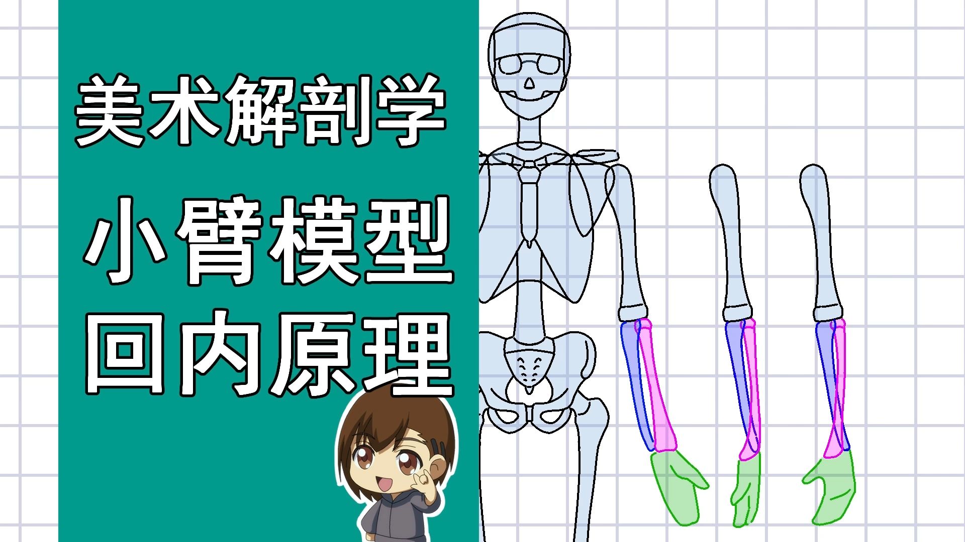 美术解剖学-68-小臂模型回内动态原理绘制