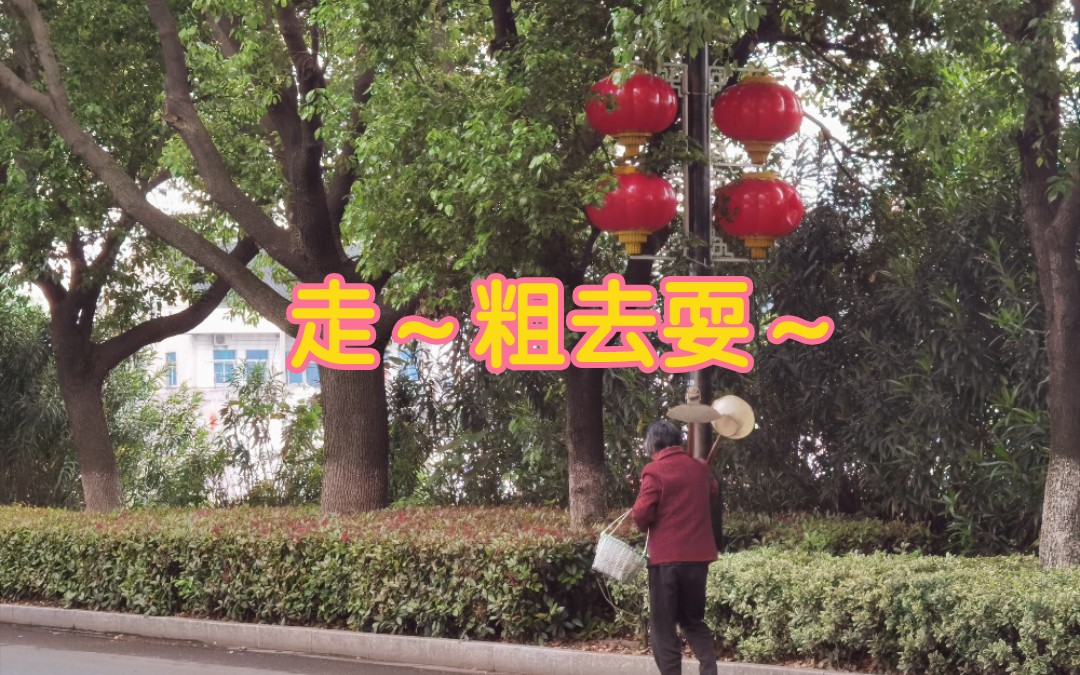 五一第一天,吸氧半小时 【王江泾莲泗荡风景区】哔哩哔哩bilibili