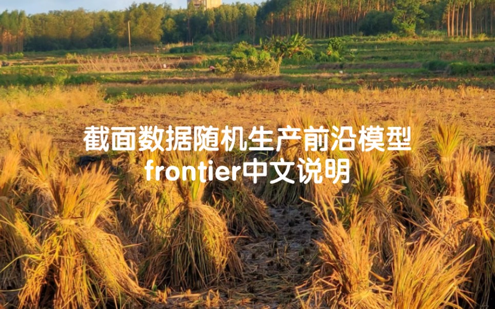 截面数据随机生产前沿模型frontier中文说明哔哩哔哩bilibili