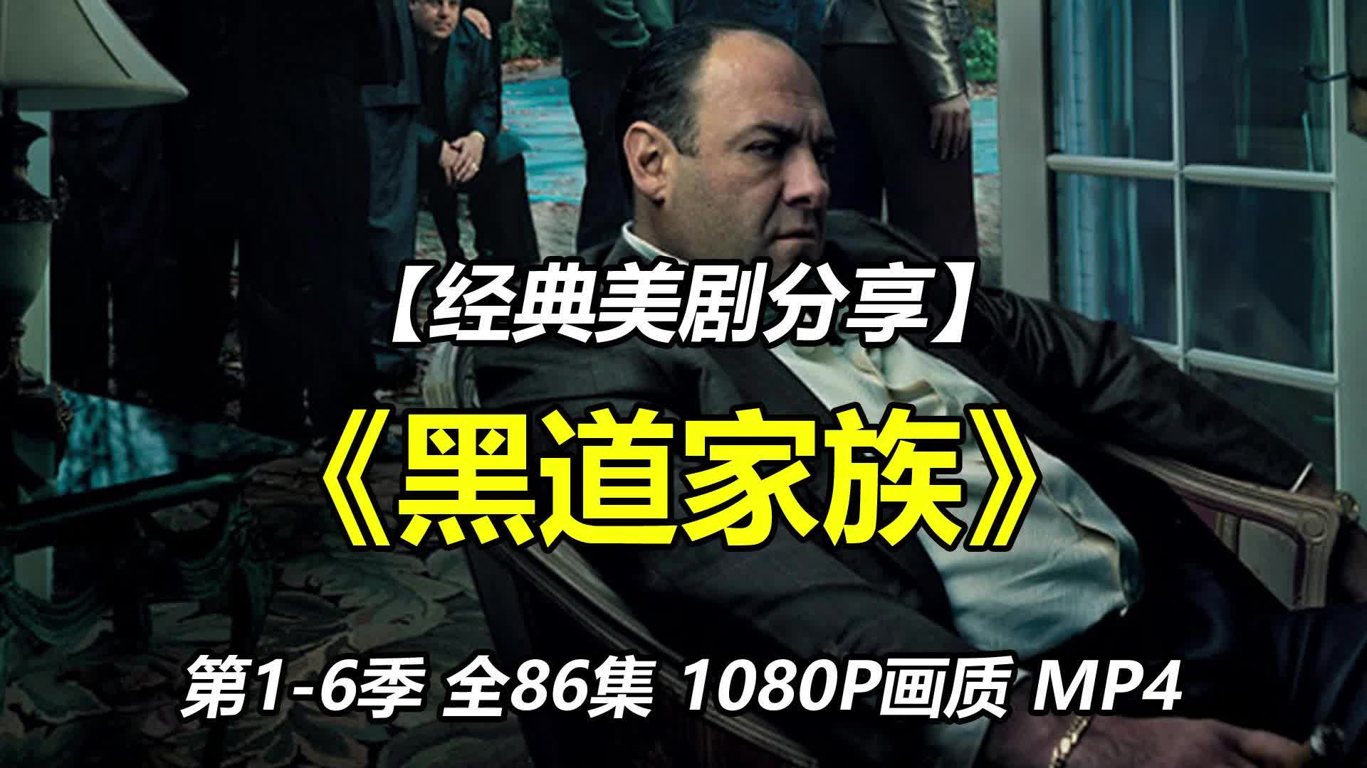 美剧《黑道家族》第16季 全86集 英语中字1080P画质 MP4网盘下载哔哩哔哩bilibili