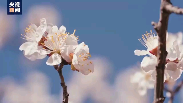 [图]缅怀烈士：山河锦绣，思念永恒 铭记就是最好的缅怀