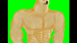 cheems全素材(截图自取)