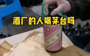 Download Video: 酒厂的的人喝茅台吗？