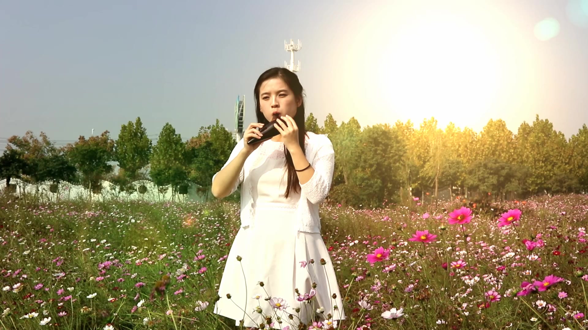 陶笛 演奏《棠梨煎雪》