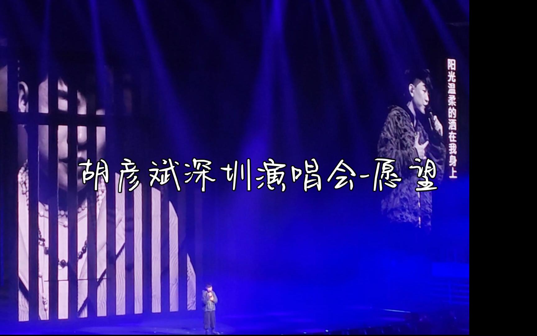 4.6深圳-胡彦斌演唱会27-愿望