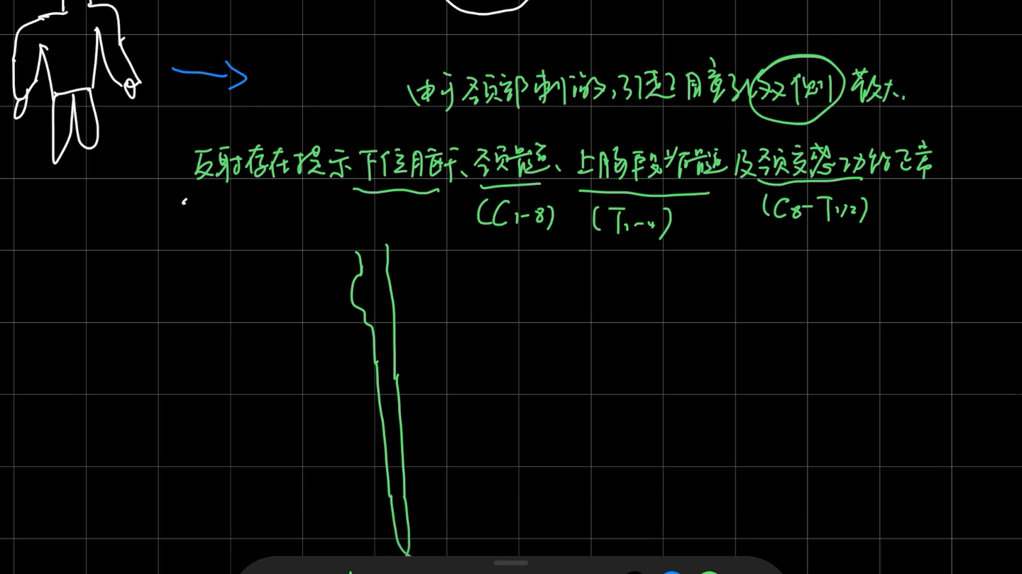 睫脊反射图片