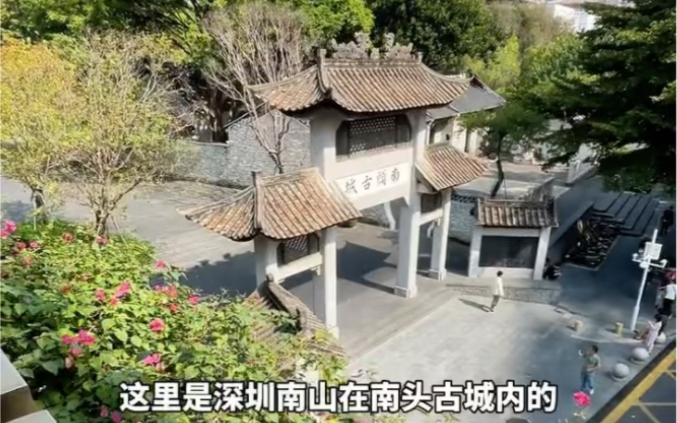 深圳南山尚品看房日记丨南山尚品真实介绍丨2024火遍了整个深圳南山尚品哔哩哔哩bilibili