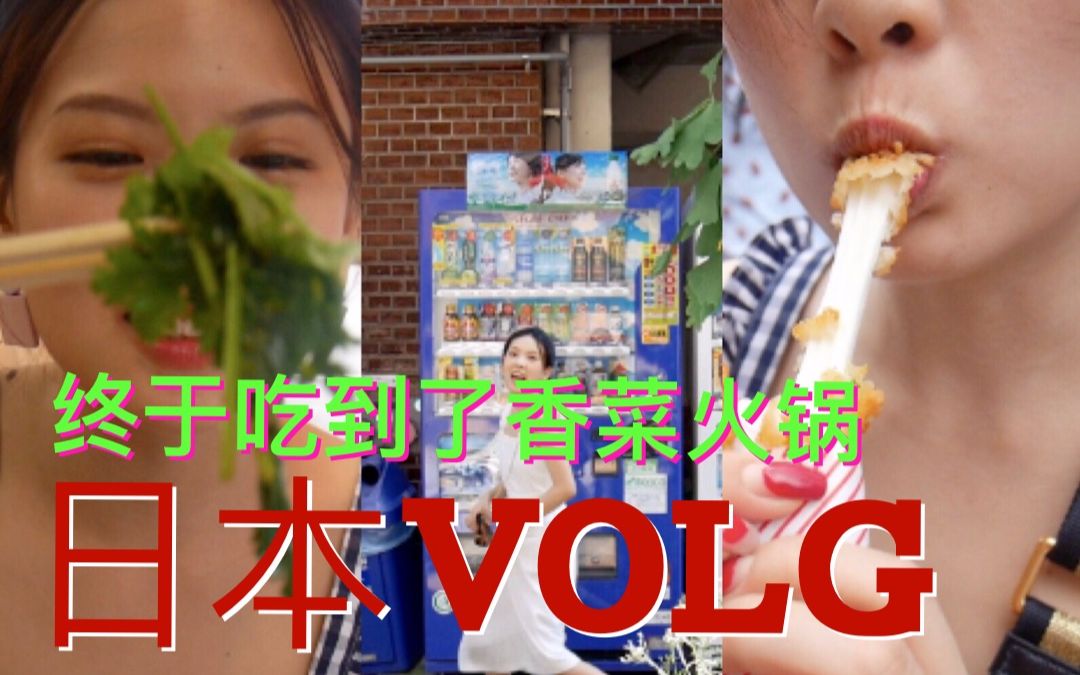 [图]日本volg～终于吃到惹传说中的香菜火锅～