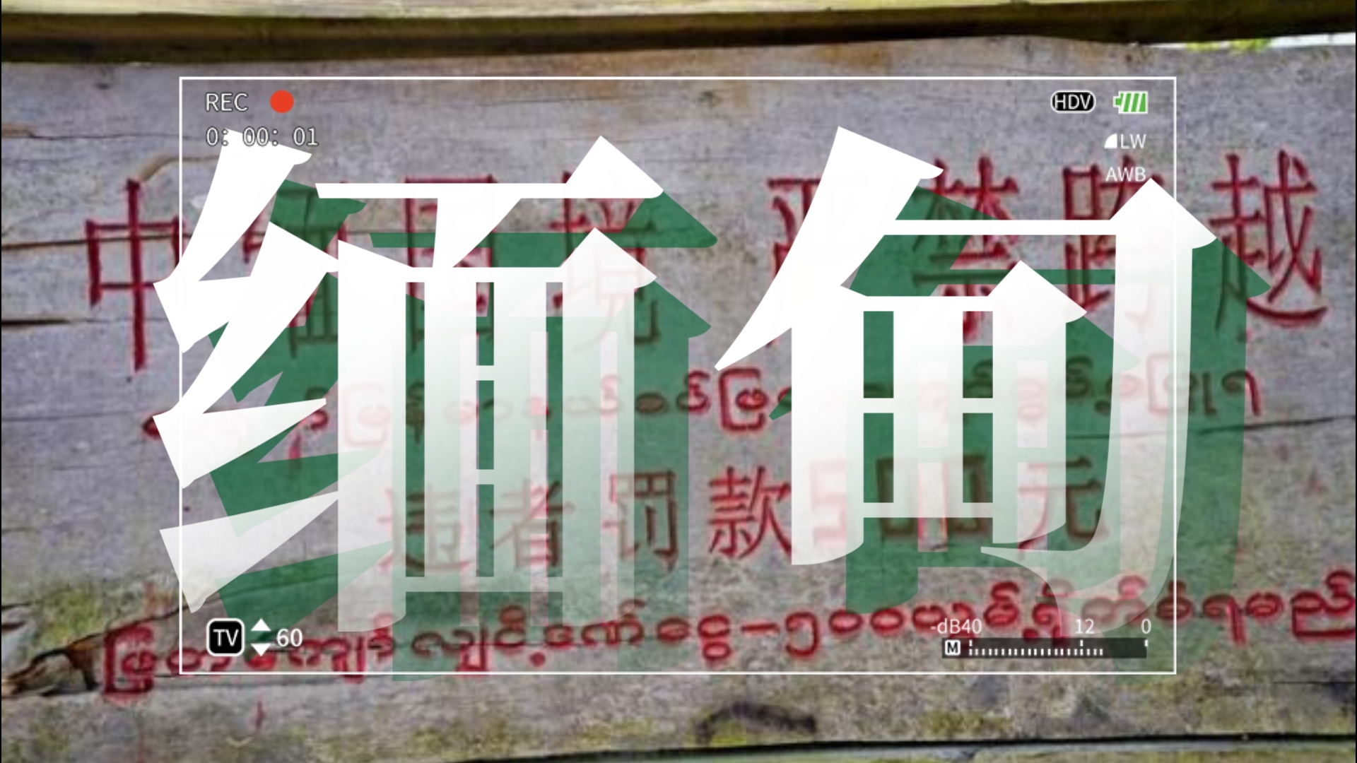 东南亚近代史——缅甸经济规模为什么远远比不过泰国?哔哩哔哩bilibili