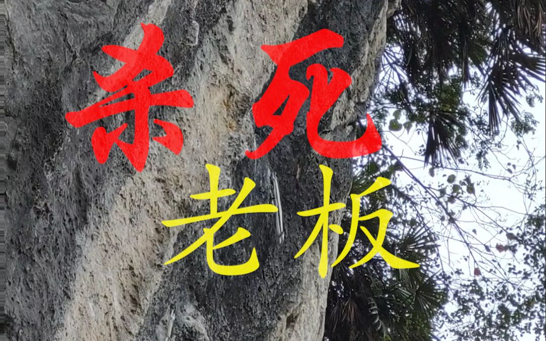 [图]雷劈山——杀死老板 13a 难点视频