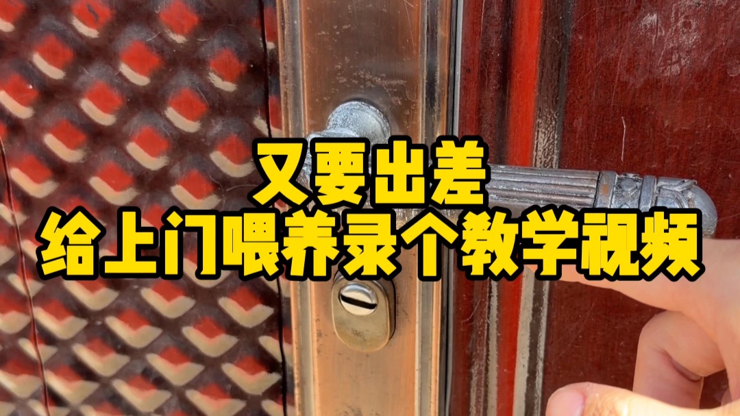 给上门喂养拍个教学视频
