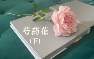 树脂粘土花 搜索结果 哔哩哔哩 Bilibili