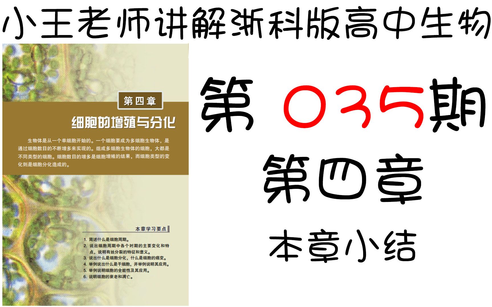 【第035期】【第四章本章小结】小王老师带你精读浙科版高中生物必修一 第四章本章小结+本章内容补充哔哩哔哩bilibili