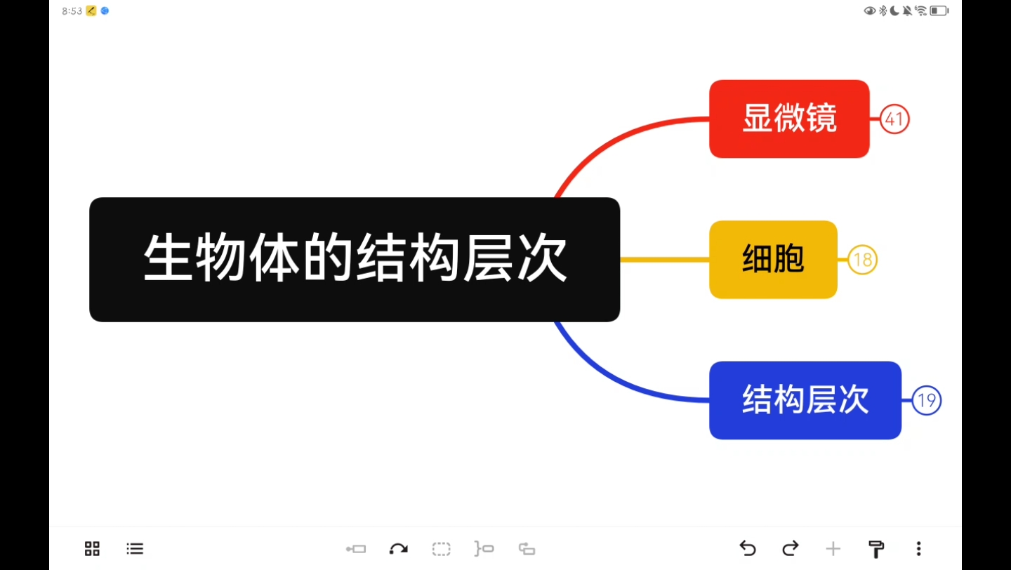 13min中考复习 七上生物 生物体的结构层次哔哩哔哩bilibili