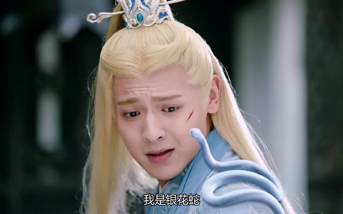 【琉璃美人煞】腾蛇取笑一条菜花蛇!_哔哩哔哩_bilibili