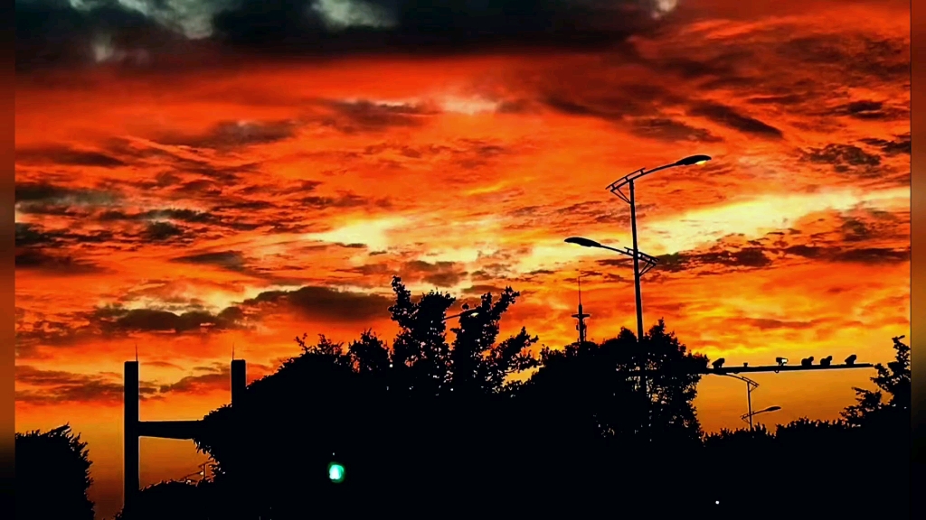 为君持酒劝斜阳,且向花间留晚照