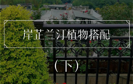 EG漫园完工案例 | 岸芷兰汀植物搭配(下)哔哩哔哩bilibili