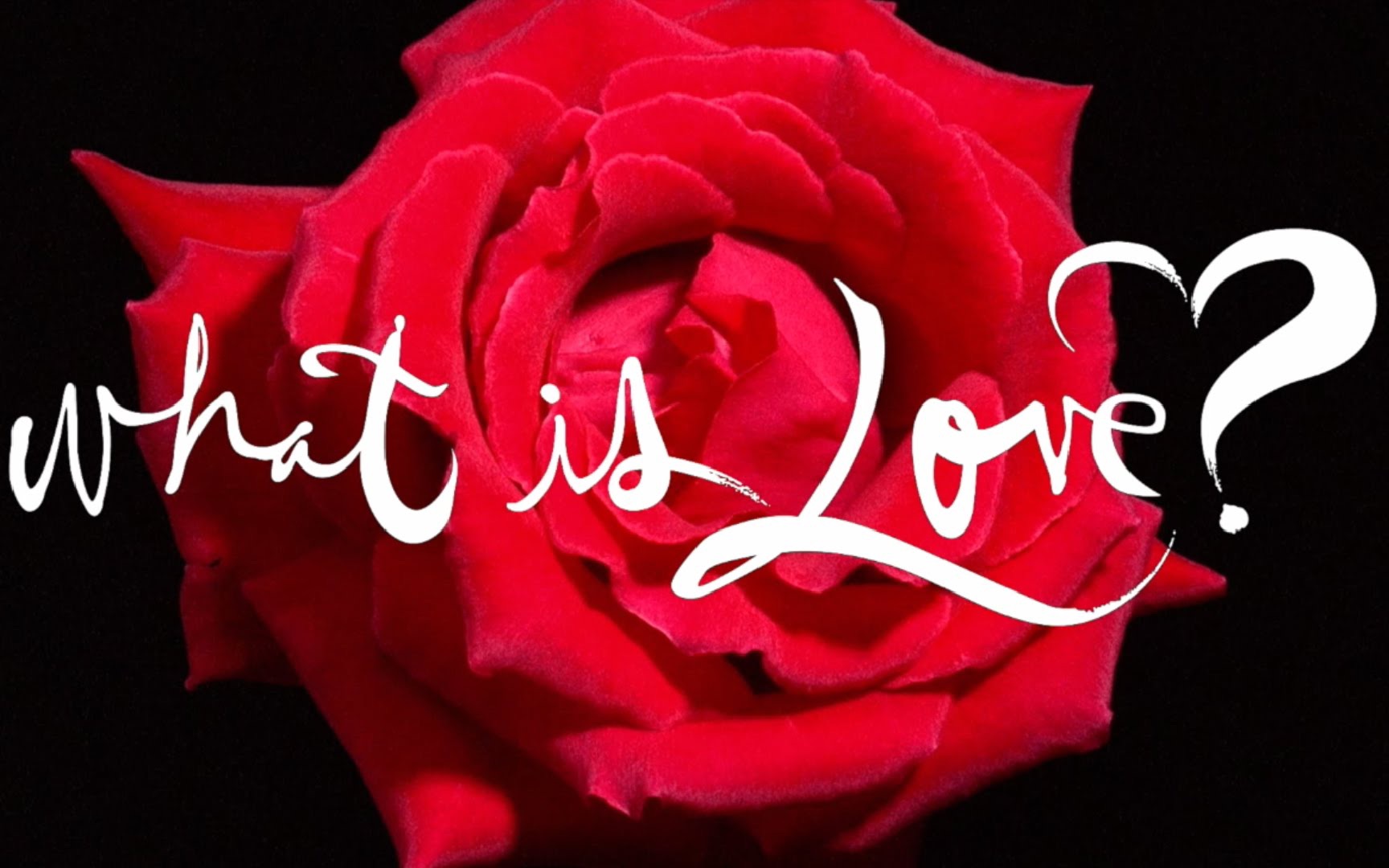 1 fall in love with english