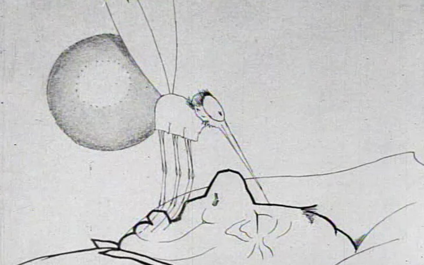 【温瑟 ⷠ麦凯】【1912年动画短片】蚊子是怎么生活的 How a Mosquito Operates (1912)哔哩哔哩bilibili