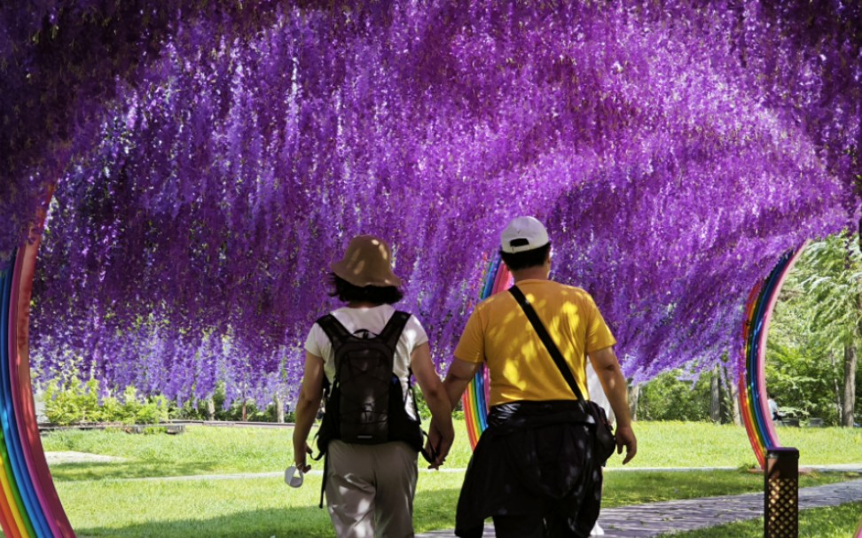 my dear professors love story