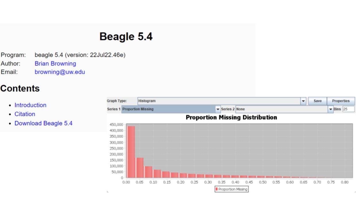 使用Beagle进行基因型缺失数据填补 Imputation of missing data using Beagle software哔哩哔哩bilibili