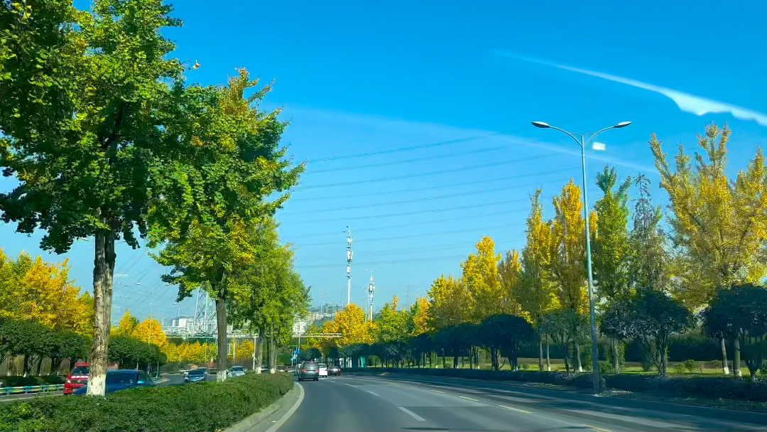 重庆的冬天太美了