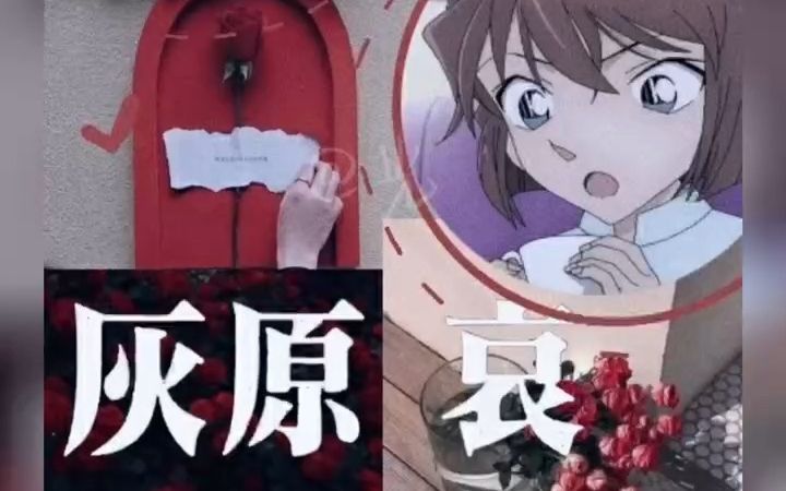 灰原哀壁纸1~Haibara Ai𐟒œ哔哩哔哩bilibili