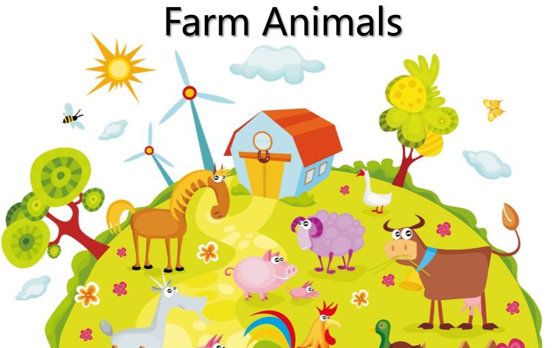 词汇训练农场动物Farm Animals哔哩哔哩bilibili