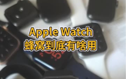 Apple Watch蜂窝到底有啥用?哔哩哔哩bilibili