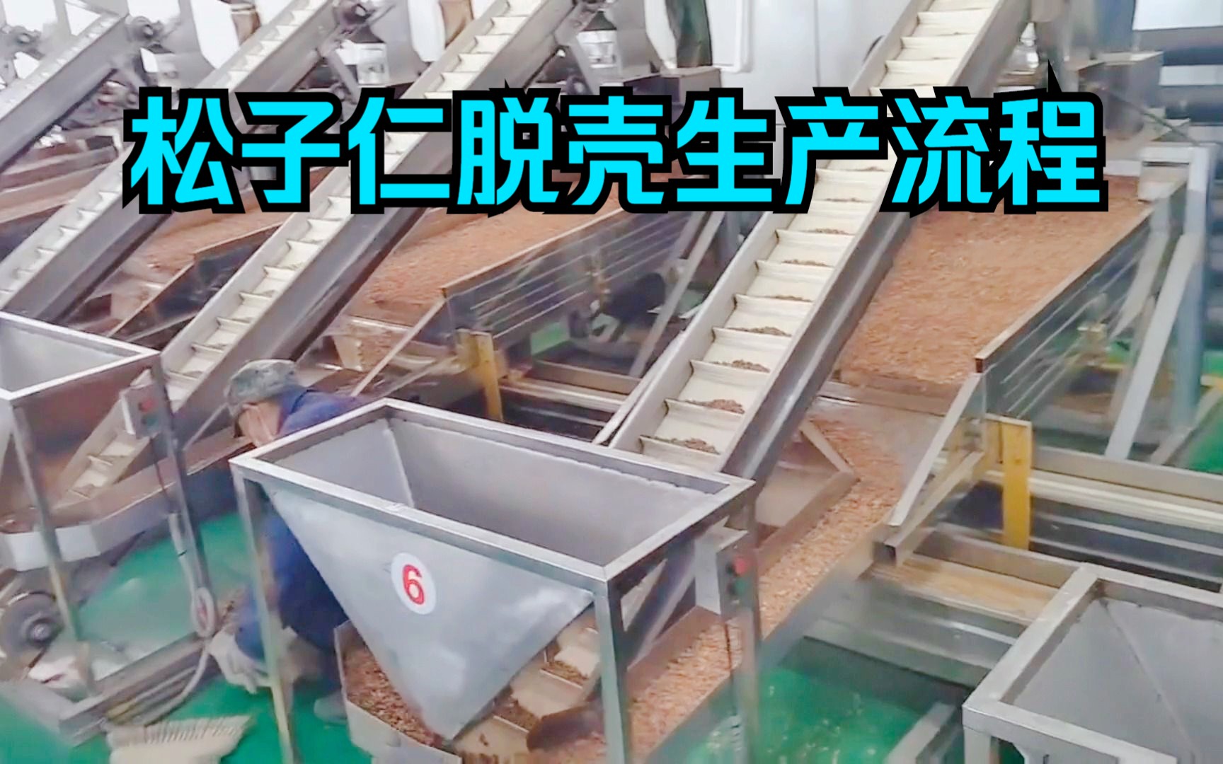 松籽子仁脱皮机去壳生产线,松子去皮机剥皮扒皮加工机器设备生产流水