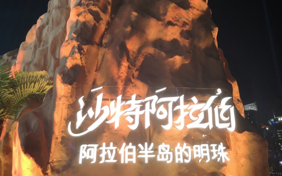 在上海北外滩虹口滨江排队一个多小时,去空降的限时沙特阿拉伯旅游