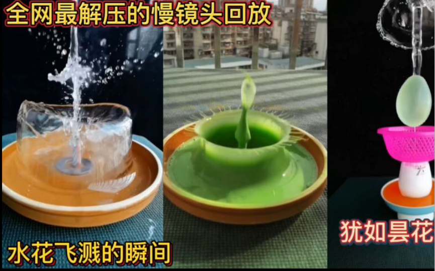 [图]全网最解压的慢镜头回放！水花飞溅的瞬间！犹如昙花一现！