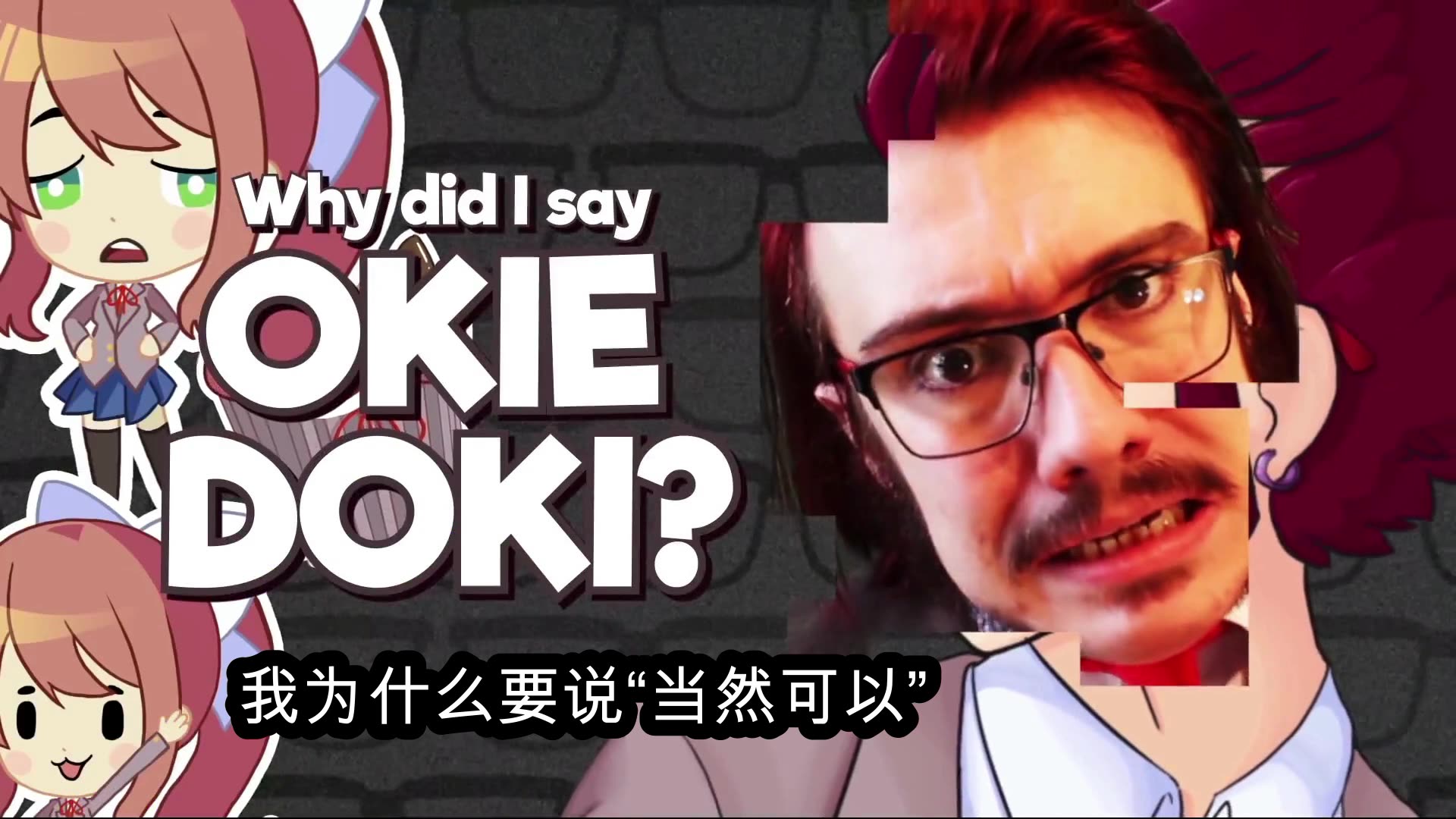 [图]【个人译制】why did i say okiedoki （中字）