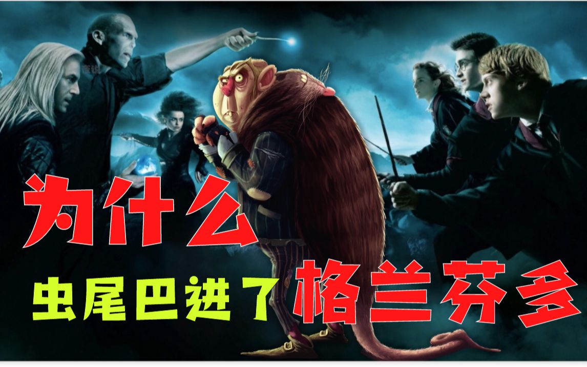 为什么虫尾巴可以进格兰芬多(看我怎么自洽)