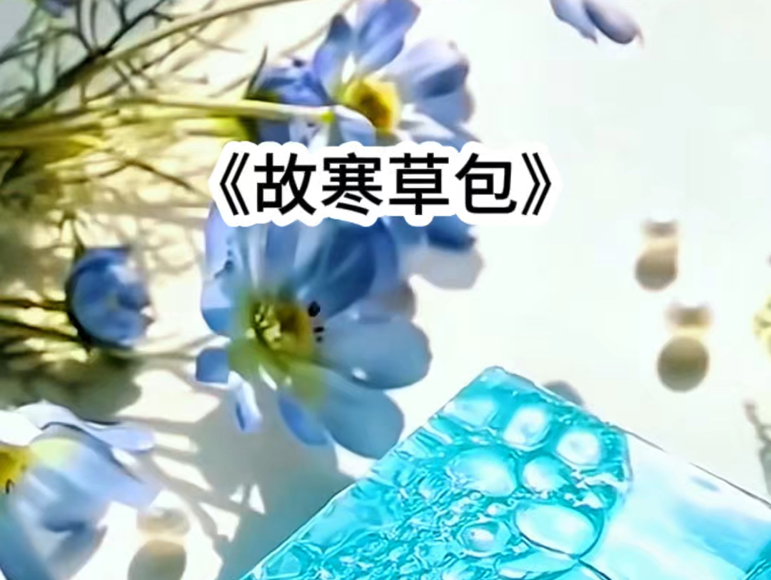 《故寒草包》哔哩哔哩bilibili