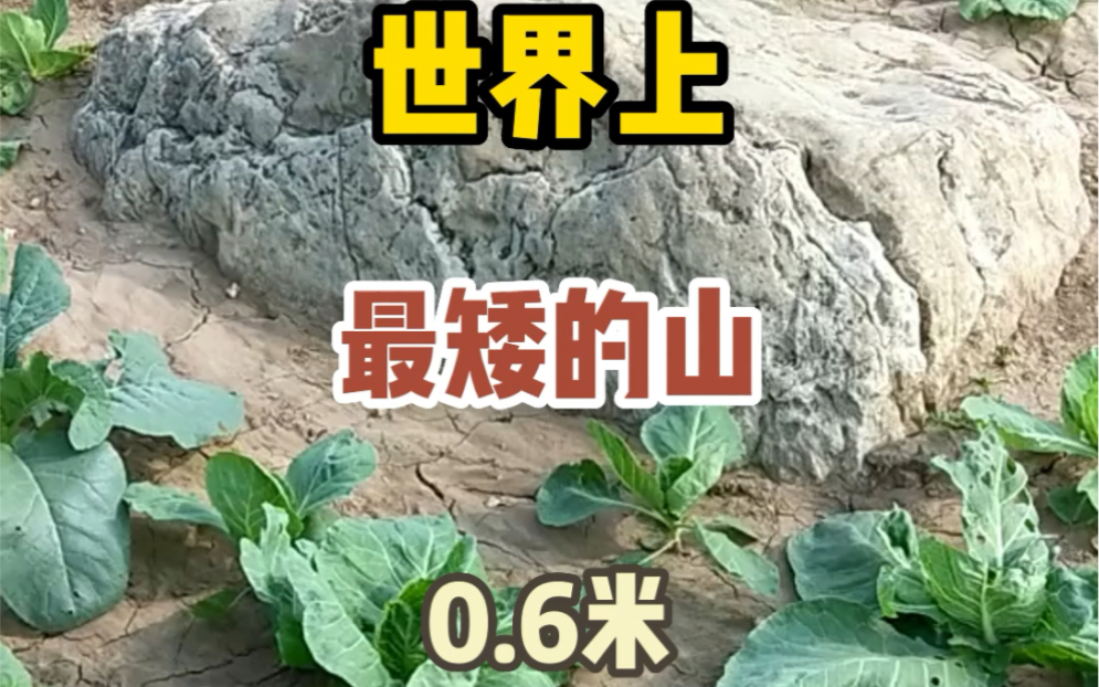 世界上最矮的山峰图片