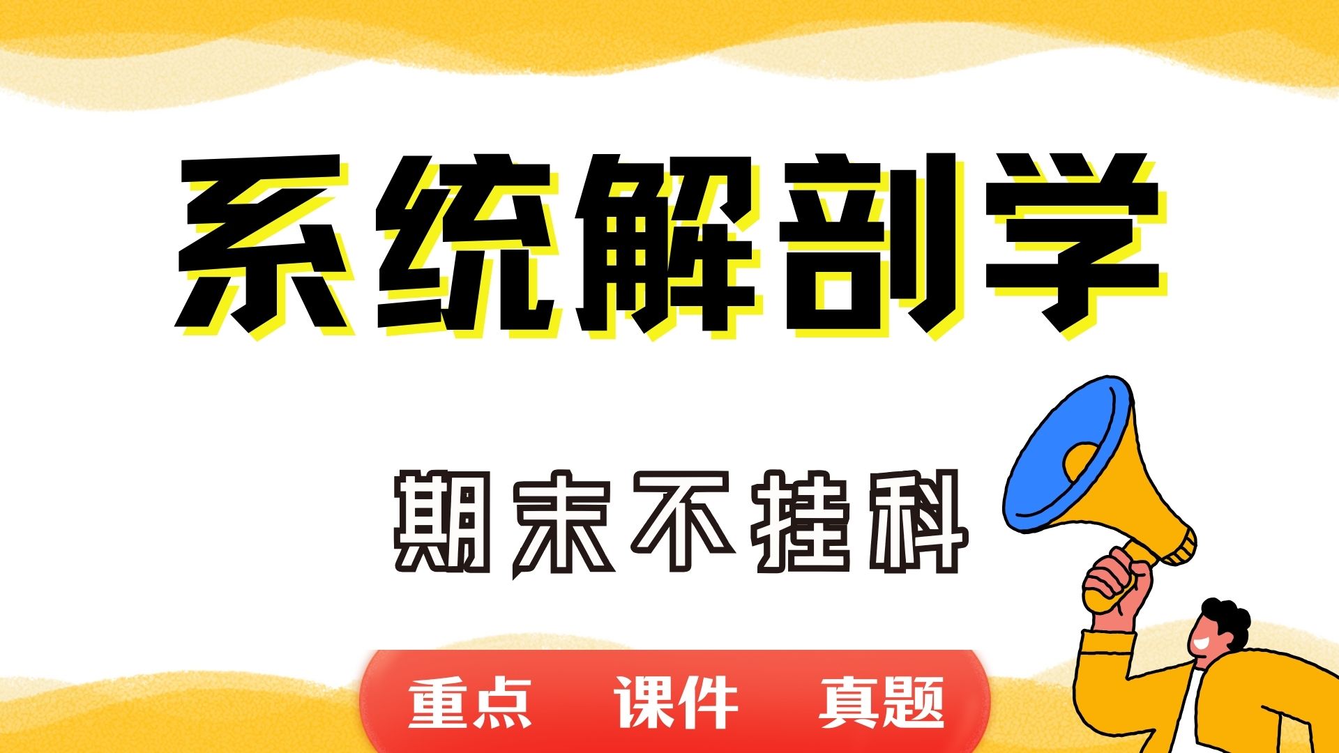 《系统解剖学》期末考试重点总结 系统解剖学期末复习资料+题库及答案+知识点汇总+简答题+名词解释哔哩哔哩bilibili