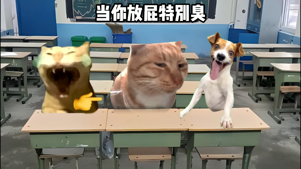 当你放屁特别臭