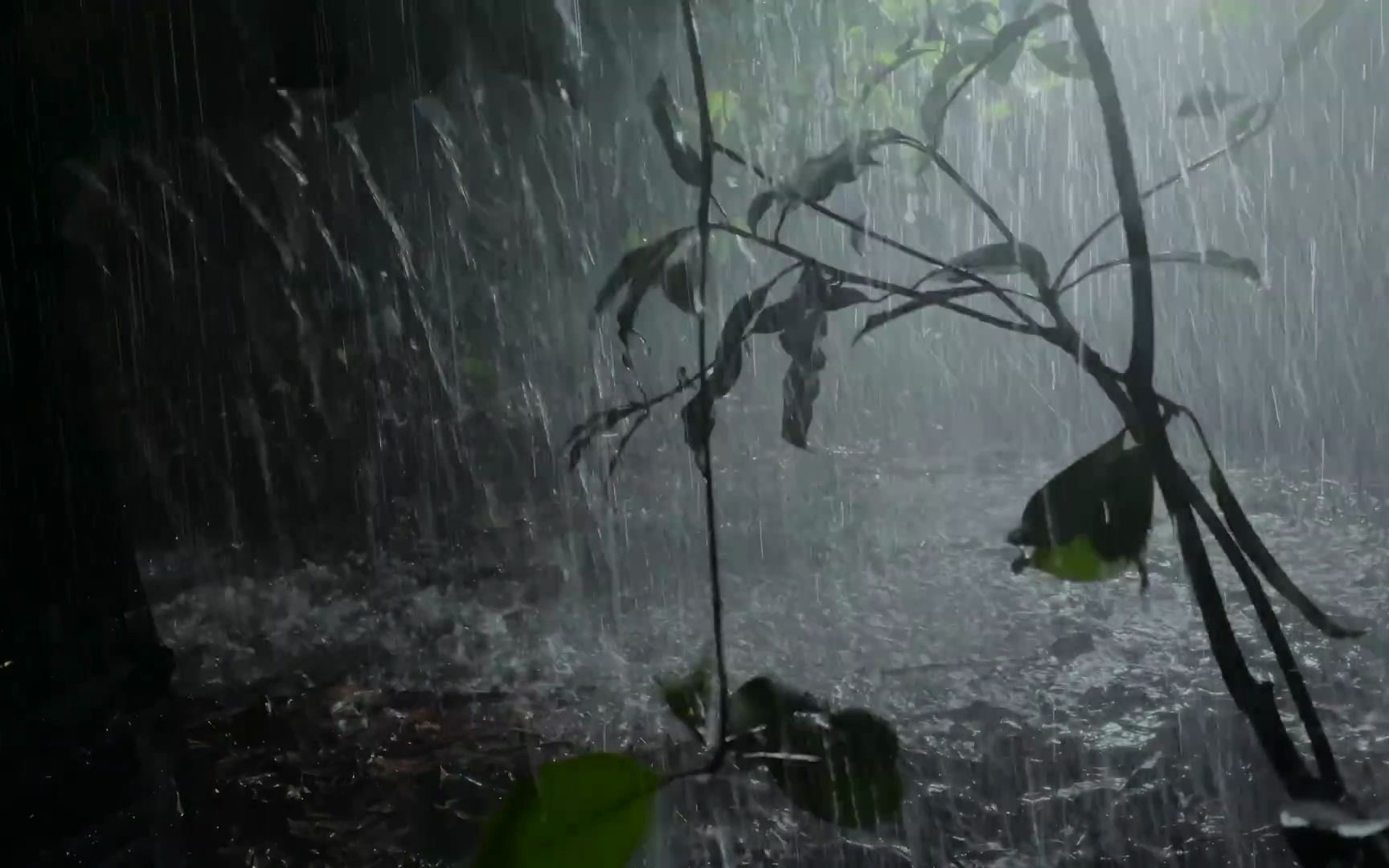 [图]【真实雨声】30分钟 | 大暴雨和雷声99% 的人会很快入睡