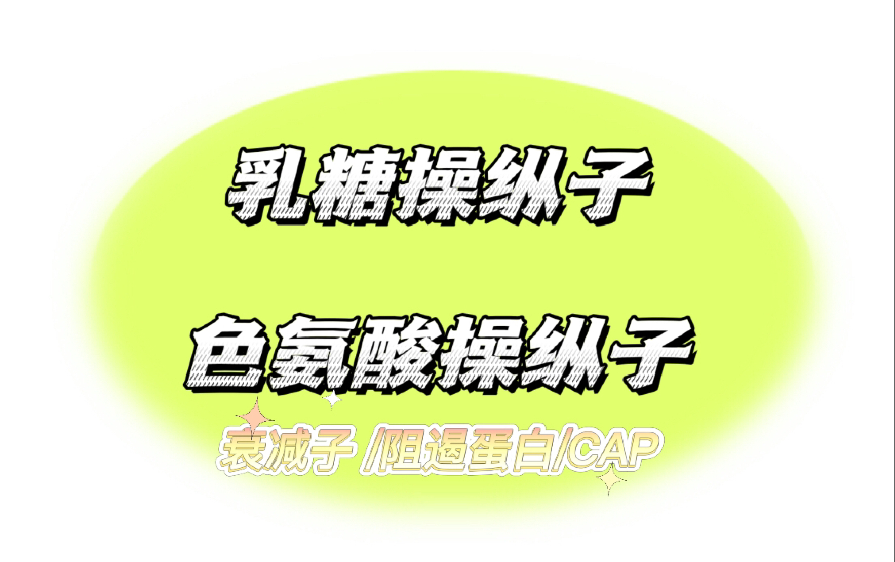 原核转录调控 | 乳糖操纵子 | 色氨酸操纵子 | 衰减子 | CAP正性调节 | 阻遏蛋白哔哩哔哩bilibili