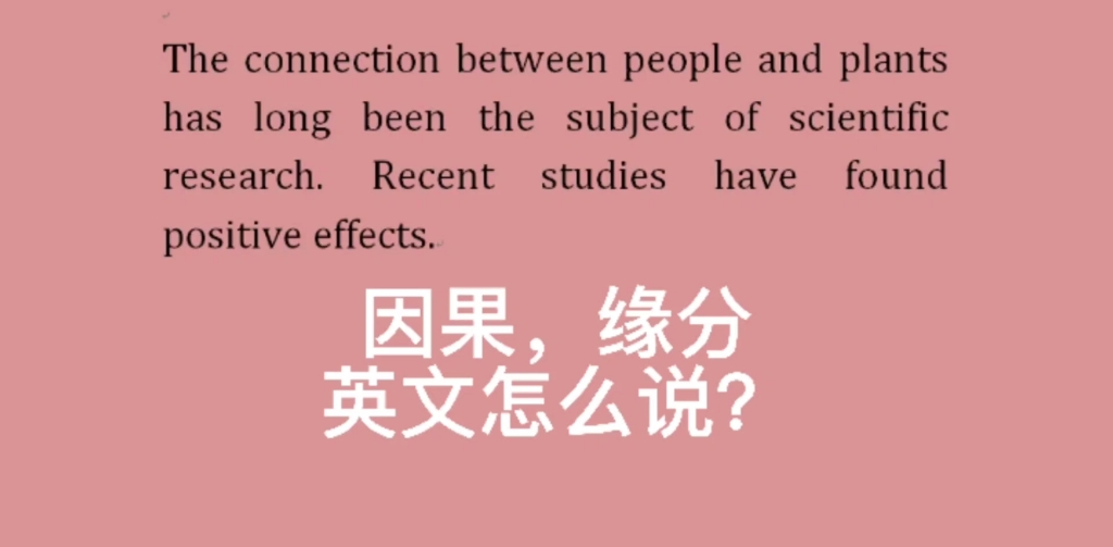 [图]因果，缘分 英文是什么？