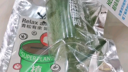 余额宝&超级植物限量联名:易拉罐蓬莱松哔哩哔哩bilibili