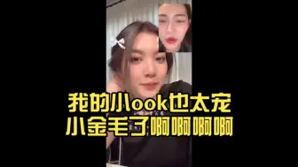 Descargar video: 我天！我的小ook也太宠小金毛了啊啊啊啊