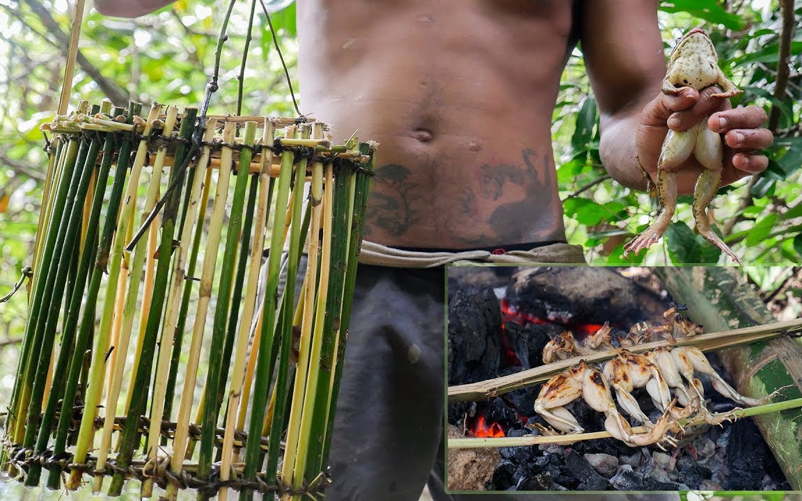 [图]原始技术：做一个捕蛙陷阱 [Evolution of primitive technology]