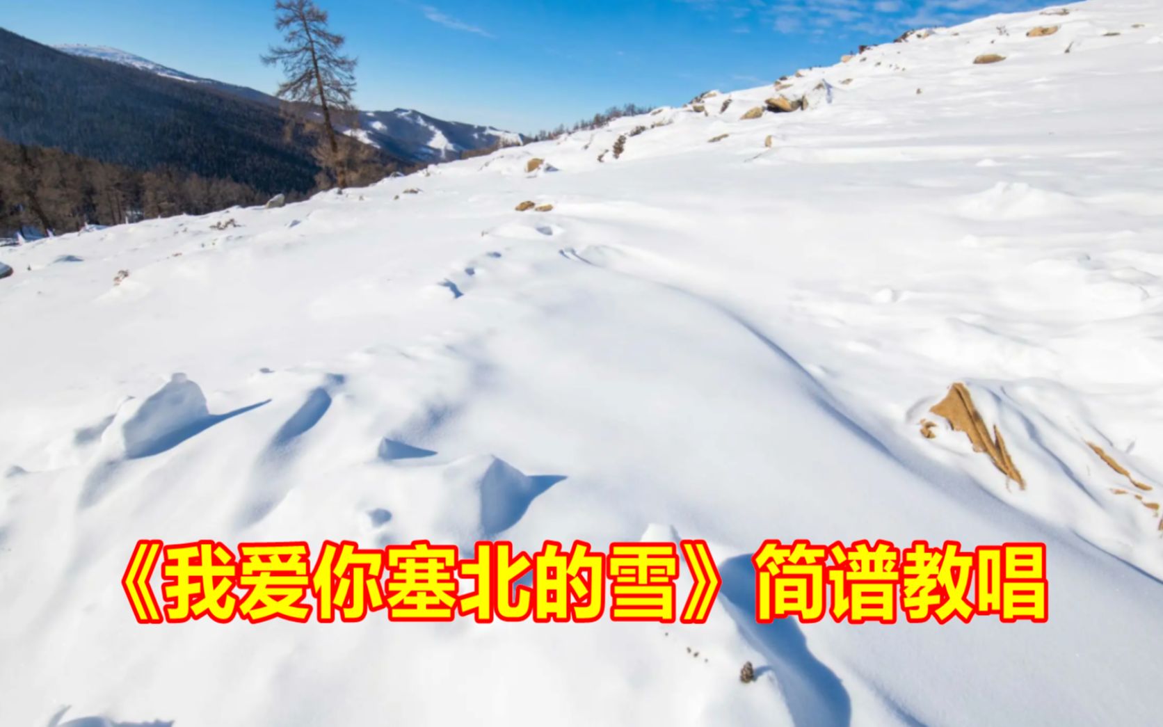 《我爱你塞北的雪》简谱教唱,零基础轻松学音乐哔哩哔哩bilibili