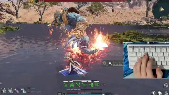 神佑释放外服Mage Bashal Damage Test 0_53 _